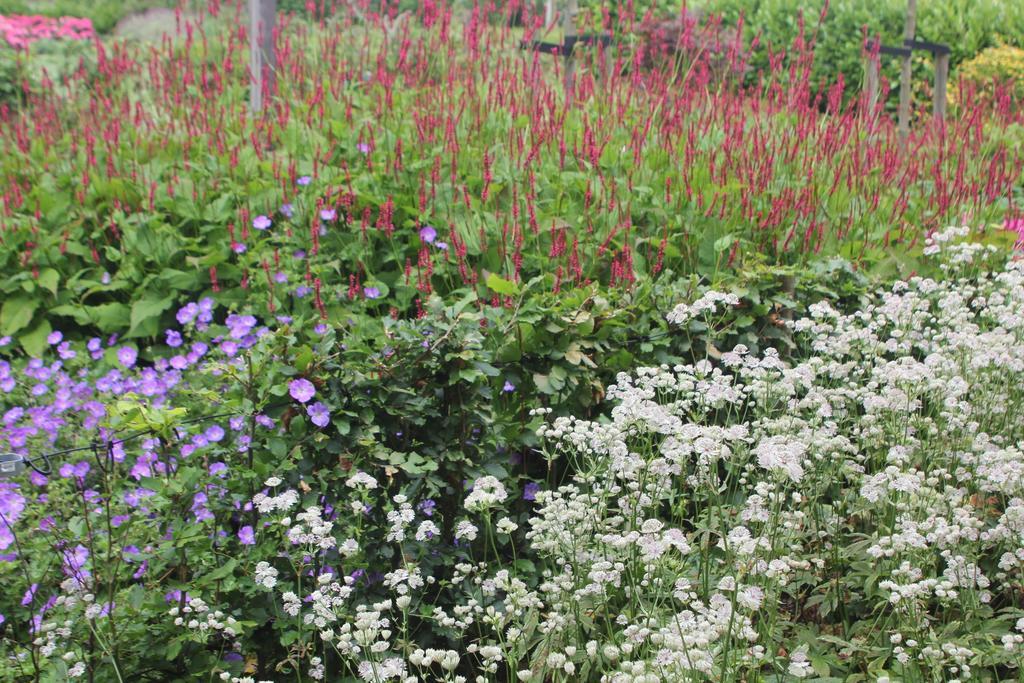 B&B Het Koetshuis Hazerswoude-Dorp Pokoj fotografie